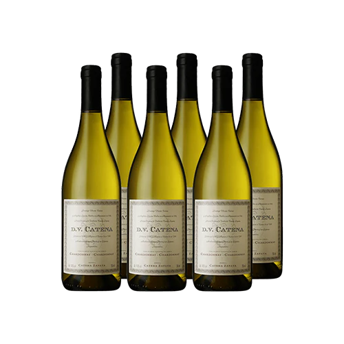 Dv Catena Chardonnay Cx 6 und 2021
